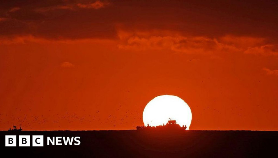 Global Ocean Temperatures Reach Unprecedented Record Highs