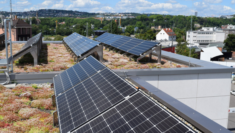 Integrating Green Roofs With Solar Boosts Urban Resilience